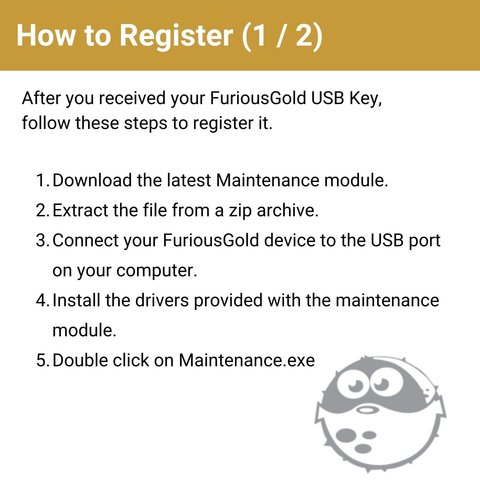 Furious Gold USB Key Lite Vista previa  2
